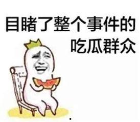 出轨吃瓜理智清醒文案,吃瓜群众的清醒思考