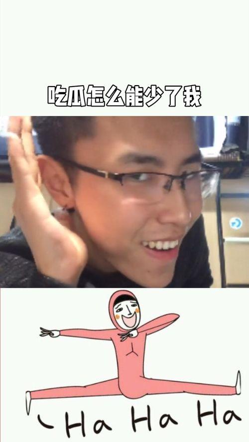 娱乐圈吃瓜神评论,揭秘明星背后的真相与笑料